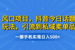 (6588期)风口项目,抖音今日话题玩法,引流到私域卖单品,一部手机实现日入500+