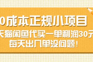 (3346期)0成本正规小项目:天猫闲鱼代买一单利润30元,每天出几单没问题!