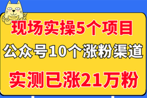 （2947期）现场实操5个公众号项目，10个涨粉渠道，实测已涨21万粉！