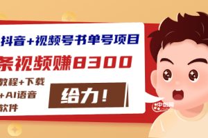 （2908期）最新抖音+视频号书单号项目：一条视频赚8300【详细教程+AI语音合成软件】