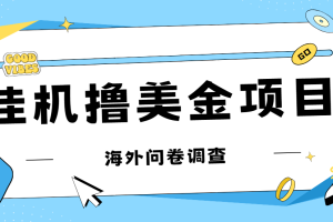 （7196期）最新挂机撸美金礼品卡项目，可批量操作，单机器200+【入坑思路+详细教程】