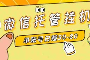 （8731期）微信托管挂机，单号日赚50-80，多号多撸，项目操作简单（附无限注册实名…