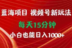 （9813期）蓝海项目视频号新玩法 每天15分钟 小白也能日入1000+