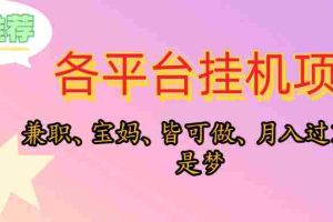 （10642期）靠挂机，在家躺平轻松月入过万，适合宝爸宝妈学生党，也欢迎工作室对接