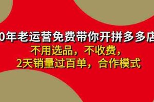 （11576期）拼多多-合作开店日入4000+两天销量过百单，无学费、老运营教操作、小白…