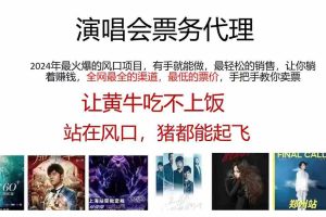 （11561期）2024演唱会低价票务代理，全网最低的票价，手把手教你卖票，日入2000+