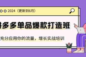 （11556期）2024拼多多-单品爆款打造班(更新6月)，充分应用你的流量，增长实战培训