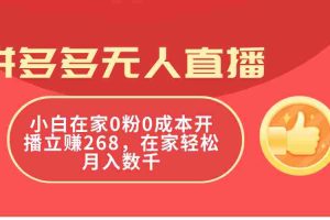 （11521期）拼多多无人直播，小白在家0粉0成本开播立赚268，在家轻松月入数千