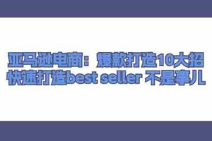 (11431期)亚马逊电商:爆款打造10大招,快速打造best seller 不是事儿