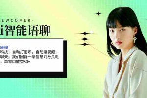 （11383期）ai智能语聊，单窗口30+单机500+，无脑干！！！