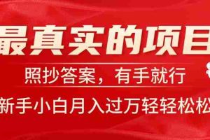 （11362期）最真实的项目，照抄答案，有手就行，新手小白月入过万轻轻松松