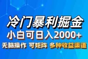 （12440期）最新冷门蓝海项目，无脑搬运，小白可轻松上手，多种变现方式，一天十几…