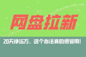 （12294期）网盘拉新+私域运营玩法，零基础入门，小白可操作，当天见效，日入5000+