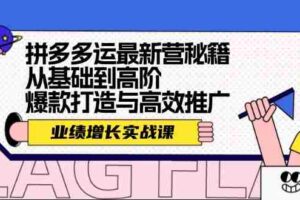 （12260期）拼多多运最新营秘籍：业绩增长实战课，从基础到高阶，爆款打造与高效推广