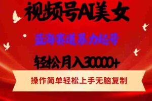 （12178期）视频号AI美女跳舞，轻松月入30000+，蓝海赛道，流量池巨大，起号猛，当…