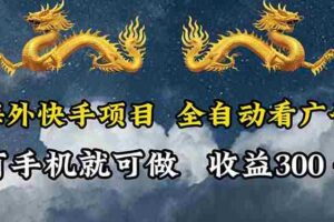 （12175期）海外快手项目，利用工具全自动看广告，每天轻松 300+
