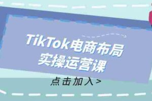 （12156期）TikTok电商布局实操运营课：从新手到精通，成为TikTok带货运营高手