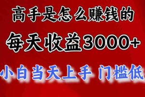 （12144期）1天收益3000+，月收益10万以上，24年8月份爆火项目