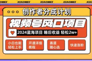 （12084期）微信视频号大风口项目 轻松月入2w+ 多赛道选择，可矩阵，玩法简单轻松上手