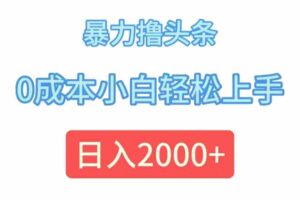 （12068期）暴力撸头条，0成本小白轻松上手，日入2000+