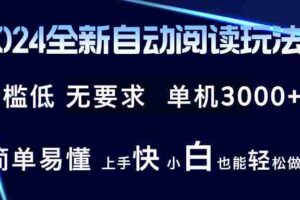 （12062期）2024全新自动阅读玩法 全新技术 全新玩法 单机3000+ 小白也能玩的转 也…