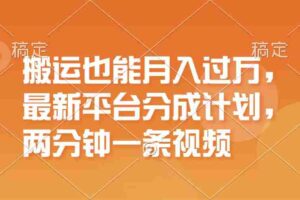 （11874期）搬运也能月入过万，最新平台分成计划，一万播放一百米，一分钟一个作品