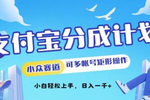 （12991期）支付宝分成计划小众赛道可多号矩形操作。小白轻松上手，日入1000