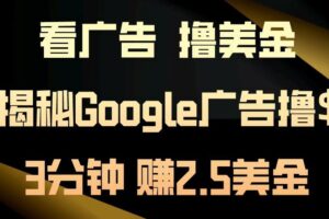 （13114期）看广告，撸美金！3分钟赚2.5美金！日入200美金不是梦！揭秘Google广告…