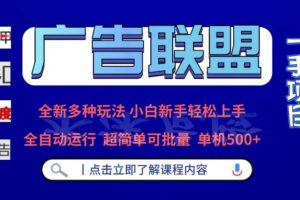 （13258期）广告联盟 全新多种玩法 单机500+  全自动运行  可批量运行
