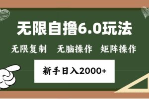 （13624期）年底无限撸6.0新玩法，单机一小时18块，无脑批量操作日入2000+