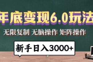 （13691期）年底变现6.0玩法，一天几分钟，日入3000+，小白无脑操作