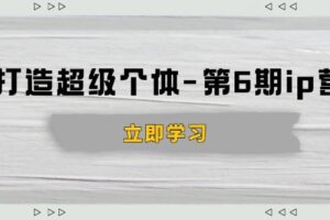 （14014期）打造 超级个体-第6期ip营：商业认知,产品设计,成交演练,解决知识变现难题