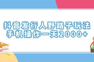 （14041期）抖音发行人野路子玩法，手机操作一天2000+
