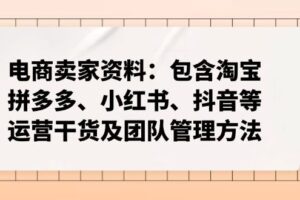 （14354期）电商卖家资料：包含淘宝、拼多多、小红书、抖音等运营干货及团队管理方法