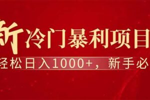 （14495期）全新项目，每天被动收益1000+，长期管道收益！